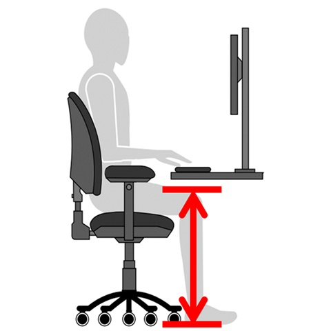 Seated Knee Height