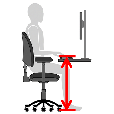 Mouse Height (from floor)