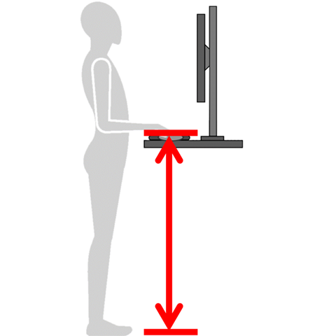 Standing Mouse Height