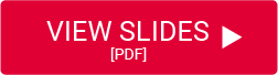 View Slides (PDF) button