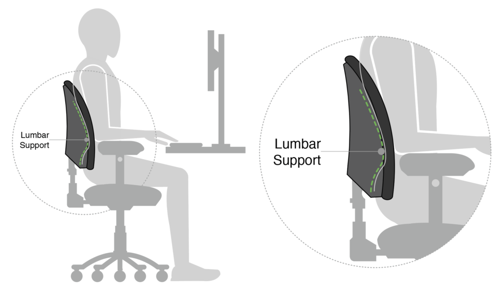 Illustration showing the location of the lumbar support on an office chair