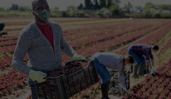 Background image of migrant and other farm workers