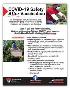 Thumbnail of the "COVID-19 Safety After Vaccination" poster