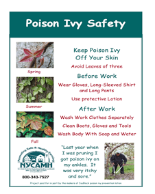 Thumbnail of the "Poison Ivy Safety" flyer