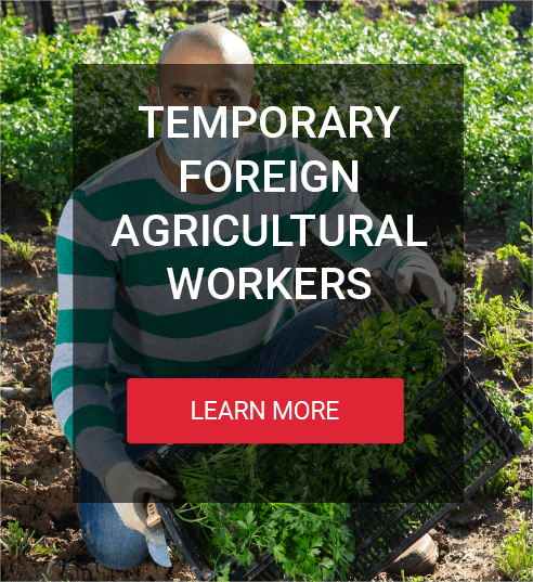 Background photo of an temporary foreign agricultural worker