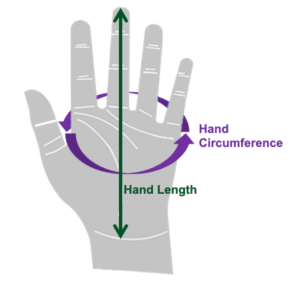 Diagram showing how to measure your hand to determine proper work glove size