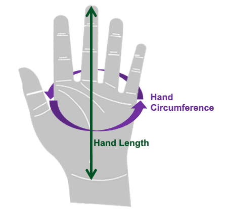 Glove Size Calculator - OHCOW