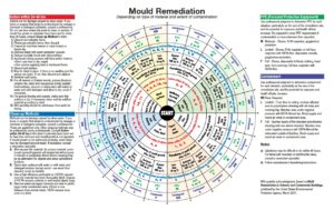 An infographic displaying mould remediation information