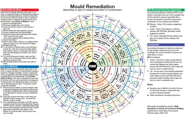 An infographic displaying mould remediation information