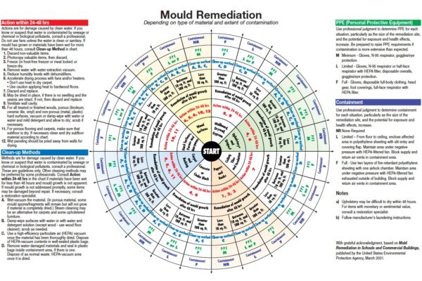 An infographic displaying mould remediation information