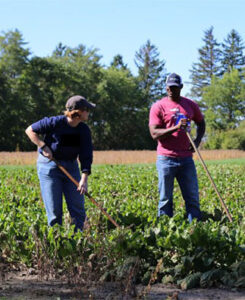 Migrant Farm workers