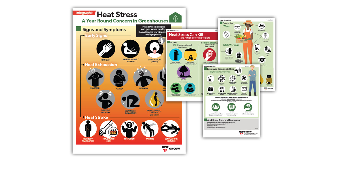 A collage showing the four pages of the OHCOW Heat Stress in Greenhouses infographic.