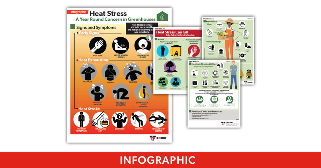 A collage showing the four pages of the OHCOW Heat Stress in Greenhouses infographic.