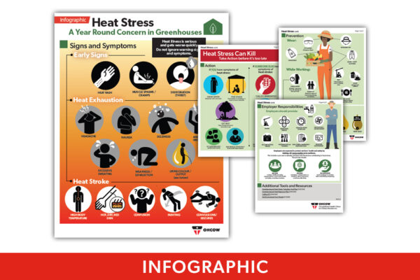 A collage showing the four pages of the OHCOW Heat Stress in Greenhouses infographic.
