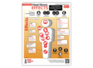 Thumbnail image of the Heat Stress – A Life- Threatening Occupational Illness from OHCOW.