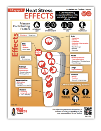 Thumbnail image of OHCOW's Heat Stress Effects infographic