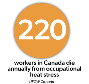 An estimated 220 workers in Canada dies annually from occupational heat stress (UFCW Canada)