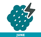 brainJune2025b