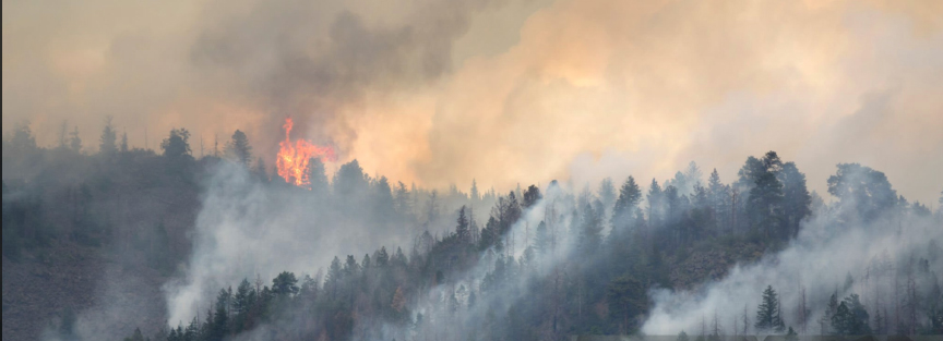 firesmoke2025